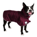 boston terrier coats winter