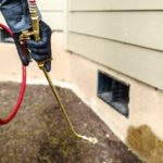 What to Expect from Your Pest Control Company?