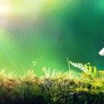 Help the Environment by Choosing a Greener Energy Provider