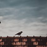 Does your chimney stack need replacing or just fixing? Here's how to tell