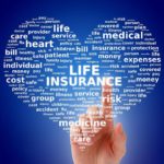 Do After Buying a Term Insurance