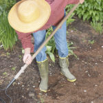 Weed Control Strategies to Implement in the Spring