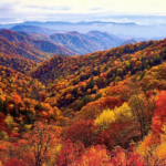 The top US States To Visit For Falls Vibrant Tree Colors