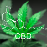 Top Benefits of CBD Hemp Flowers that you Cannot Ignore