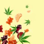 CBD Infused Products: Four Best Formats And Pros & Cons Of Using CBD