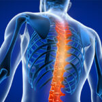 5 Levels of Spinal Cord Injuries