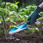 Ways To Get Your Garden Ready For Summer 2021