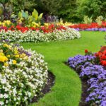 How to update your garden and add to your property value