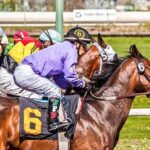 Weather Affect On Horse Racing And Betting