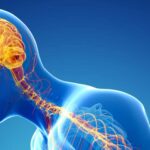 Joon Faii Ong on Promising New Treatments for Parkinson's Disease