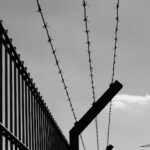 Top Reasons Why Security Fencing is a Feasible Investment for Your Property